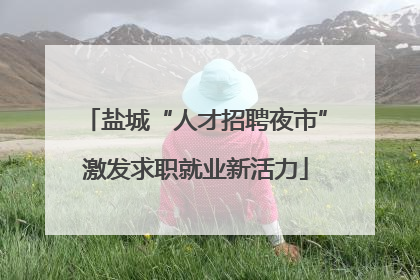 盐城“人才招聘夜市”激发求职就业新活力
